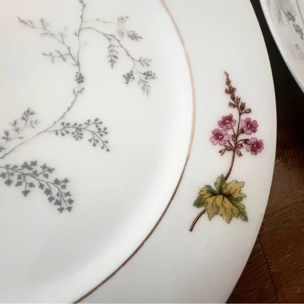 5 PCs Charles Field Haviland Limoges Spring Blossom Dinner Plates 10